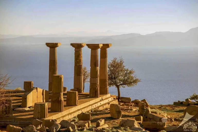 assos gorsel