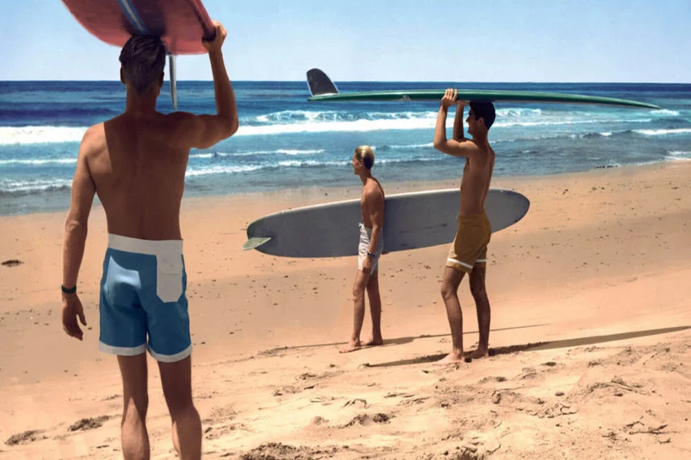 the endless summer film gorsel