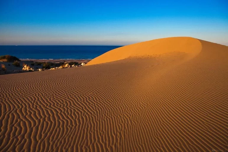 Antalya: Patara Kum Tepeleri antalya patara kum tepeleri